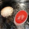 Ovo Walfos com Temporizador de Qualidade Alimentar, 1 Peça, Suprimentos de Cozinha, Ovo Perfeito Par - 4