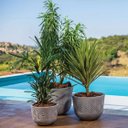 Ver imagem 4 de Vaso Cilíndrico 44 Tribo Cimento Queimado - Japi