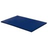 Colchonete Academia Exercício 100x60x3 D28 Azul RG Colchões - 1