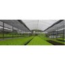 Tela Sombreamento Freshnet Termo Refletora Prata 50% - 3x110 - 4