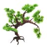 Planta Decoração De Aquário Arvore Mangue Brasil Cod: 1433 - 3