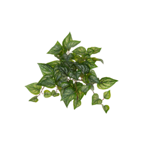 Planta Artificial Pendurar Gerânio Real Toque C/uv X58 Verde Creme 30cm