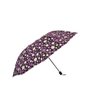 Sombrinha Automática Flores Roxa N226244-8 - Quanhe - 2