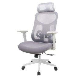 Cadeira Escritório Nr-17 Everest Presidente C- Braços Fratini Encosto Tela Gelo-cinza Base Rodí - 1