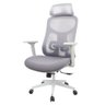 Cadeira Escritório Nr-17 Everest Presidente C- Braços Fratini Encosto Tela Gelo-cinza Base Rodí - 1