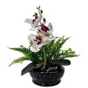 Ver imagem 1 de Decoração sala centro de mesa preto pequeno c/ Orquídea