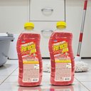 Ver imagem 1 de Kit c/ 02 Limpa Pisos Azulejos Removedor de Sujeira Limpeza Pesada e Pós-Obra Perfecto Removex 1L -