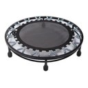 Ver imagem 2 de Cama Elástica Profissional Com Aro De Reforço + Corda