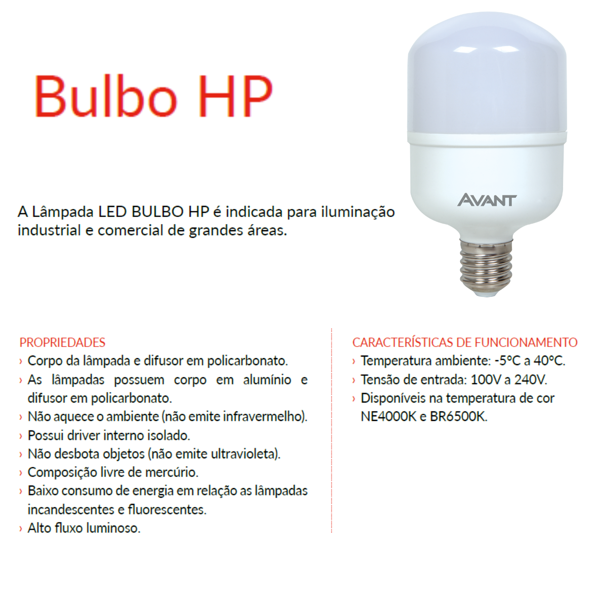 Lampada Bulbo Avant Bf E27 30w 6500k - 6