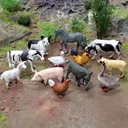 Ver imagem 2 de Kit 10 Animais da Fazenda - Brinquedo Educativo, Plástico Colorido, Tamanhos Pequenos e Grandes