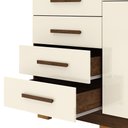 Ver imagem 4 de Cômoda Sapateira para Quarto 2 Portas 5 Gavetas Biana V01 Imbuia Champanhe - Lyam Decor