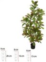 Ver imagem 1 de Planta Artificial Arvore Croton Real Toque C/pote X192 Verde 1,60m