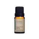 Ver imagem 1 de Óleo Essencial de Alecrim 100% Puro 10ml Via Aroma