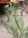 Ver imagem 5 de Samambaia Planta Artificial Grande para Sala com 120cm, Planta Decorativa para Casa e Eventos.