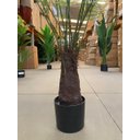 Ver imagem 7 de Samambaia Planta Artificial Grande para Sala com 120cm, Planta Decorativa para Casa e Eventos.
