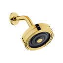 Ver imagem 1 de Ducha Chuveiro P/ Aquecedor Solar e Gás Smart Clean - Dourado Brilho