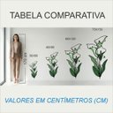 Ver imagem 2 de Adesivo Floral Boho Verde Estilo Nórdico 60x120 Minimalista Mod.04
