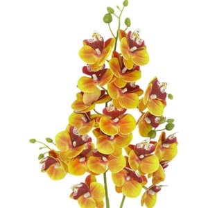 Haste Orquídea Delicada 3d Artificial de 75cm Realista para Decoração