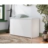 Sapateira Charme com Porta Basculante para Hall de Entrada ou Quarto - Branco - 1