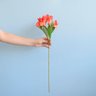 Flor Artificial Haste de Astromélia Vermelha| Linha Permanente Formosinha - 2