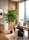 Ver imagem 7 de Árvore Artificial Grande Planta Realista Decoração Sala com 2.00m, Plantas Artificiais.