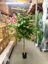 Ver imagem 6 de Árvore Artificial Grande Planta Realista Decoração Sala com 2.00m, Plantas Artificiais.