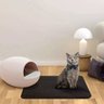 Tapete Coletor Areia Gato Pet Higienico Anti Sujeira Casa Chao Limpo Petshop Ab.midia Su-are-2 - 13