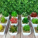 Ver mais imagens de Suculenta Artificial Mini Vaso - Arranjo de Vasinhos Branco