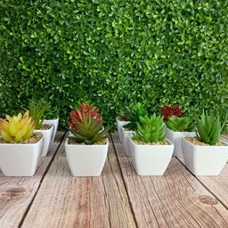 Suculenta Artificial Mini Vaso - Arranjo de Vasinhos Branco - 10