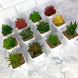 Suculenta Artificial Mini Vaso - Arranjo de Vasinhos Branco - 11