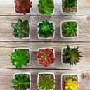 Ver imagem 6 de Suculenta Artificial Mini Vaso - Arranjo de Vasinhos Branco