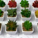 Ver imagem 3 de Suculenta Artificial Mini Vaso - Arranjo de Vasinhos Branco