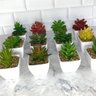 Suculenta Artificial Mini Vaso - Arranjo de Vasinhos Branco - 5