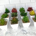 Ver imagem 5 de Suculenta Artificial Mini Vaso - Arranjo de Vasinhos Branco