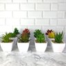 Suculenta Artificial Mini Vaso - Arranjo de Vasinhos Branco - 7
