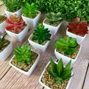 Ver imagem 4 de Suculenta Artificial Mini Vaso - Arranjo de Vasinhos Branco