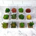 Ver imagem 2 de Suculenta Artificial Mini Vaso - Arranjo de Vasinhos Branco