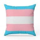 Ver imagem 2 de Almofada Avulsa Cheia Estampada Bandeiras Lgbt Cores 45cm X 45cm com Refil Cor Trans