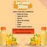 Garrafa Descartavel de Suco Caldo de Cana 300ml Delivery 50u - 4