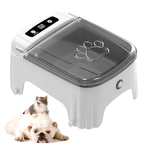 Comedouro Automatico Cao Gato Cachorro Pet Raçao Petisco Sensor de Presença Movimento Temporizador P