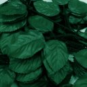 Ver imagem 3 de 72 Ramos Decoração Arranjo Folhas de Rosa Artificial Planta Plástico 5 Galhos Cada 47cm
