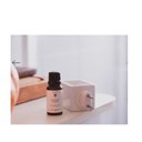 Ver imagem 3 de Oleo Concentrado Patchouli Vanilla 20ml Lenvie Parfums