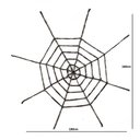 Ver imagem 2 de Teia Decorativa Grande Preta 180cm - Halloween
