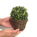 Ver imagem 3 de Kit 3 Arranjos de Mini Buchinho Artificial com Vaso de Fibra Sintética