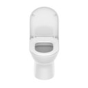 Ver imagem 7 de Vaso Sanitário Convencional com Assento Termofixo Queda Amortecida Nexo Roca
