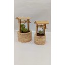 Ver imagem 1 de Cachepot de Madeira para Suculentas DI PIETRA