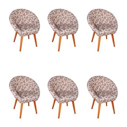 Kit 6 Poltronas Decorativa Canastra Estofada Veludo Floral Marrom Pés Palito em Madeira Maciça - 1