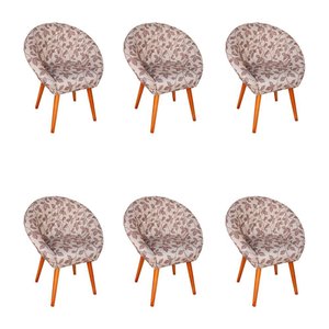 Kit 6 Poltronas Decorativa Canastra Estofada Veludo Floral Marrom Pés Palito em Madeira Maciça