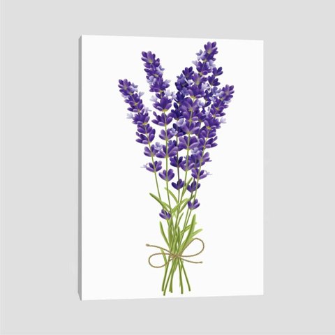 Quadro Lavanda Ii Tela No Chassi 63X42Cm