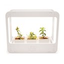 Ver imagem 1 de Plantario Indoor com Led Horta da Casa